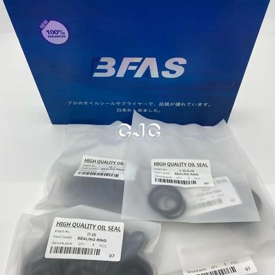 SK200 এর জন্য তেল প্রতিরোধী FKM হাইড্রোলিক সিলিন্ডার তেল সিল কিট 5-500mm ব্যাস